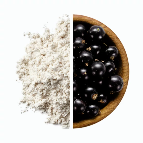 NUTREND N1 17g Blackcurrant