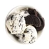 Kép 5/5 - NUTREND QWIZZ Protein Bar 60g Cookies&Cream